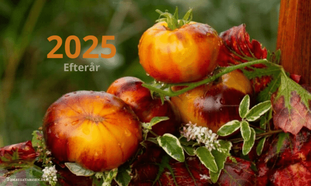 Efterår 2025