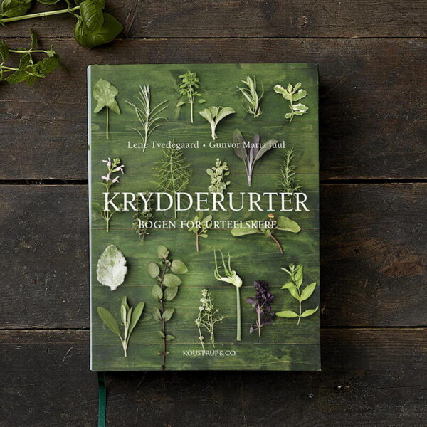 KRYDDERURTER 3 UDG Tomatdatabasen krydderurter-3-udg-tomatdatabasen
