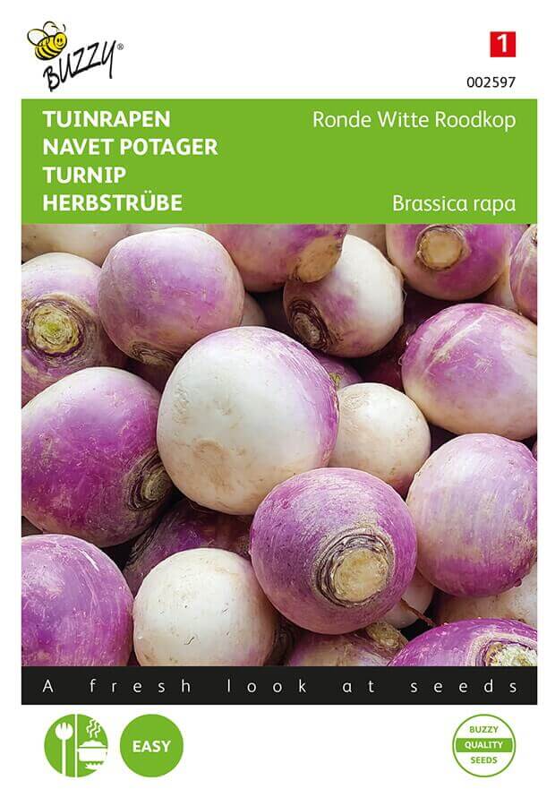 Majroe ‘Ronde Witte Roodkop’ - Billede 2