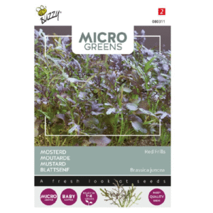 Microgreens, sennepsrøde
