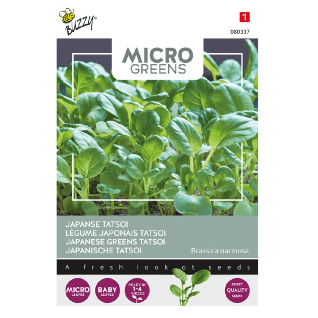 Microgreens, Tatsoi