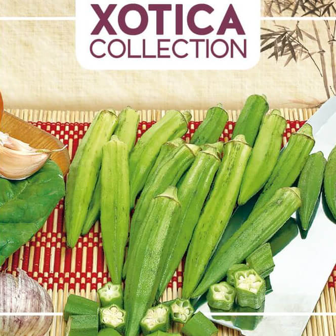 Okra - 'Clemson Spineless'