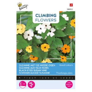 Klatreblomster Thunbergia, Suzanne med de sorte øjne