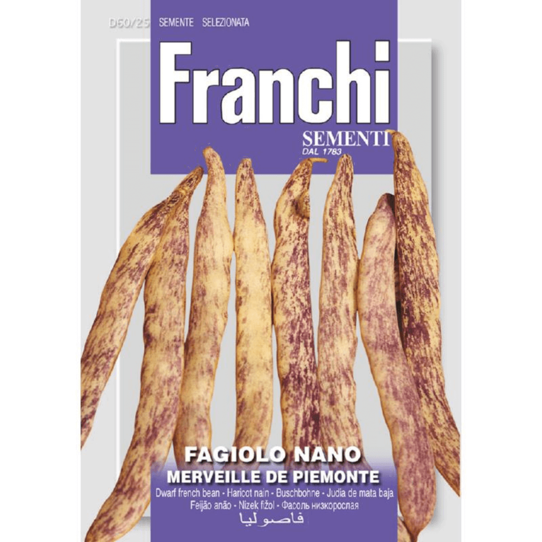 Fagiolo Nano Merveille de Piemonte