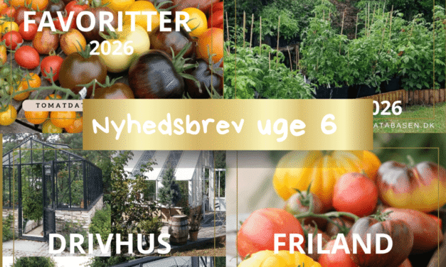 Nyhedsbrev