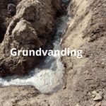 Klargøring af drivhuset til den kommende sæson: Grundvanding