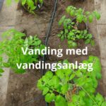 Fra standard vandingsanlæg til skræddersyet løsning