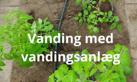 Fra standard vandingsanlæg til skræddersyet løsning