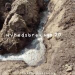 Nyhedsbrev: Drivhuset før udplantning